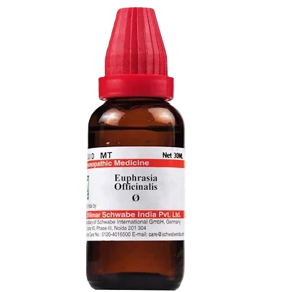 Euphrasia